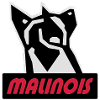 malinois