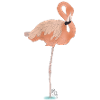Miss Ady_flamant rose