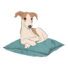 chien.png