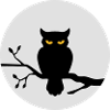 Eule im Vollmond