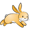 Hase