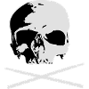 skull and sticks