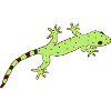 gestreifter Gecko
