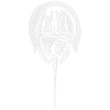 Pfeilschwanzkrebs