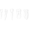 Zähne