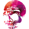 Skulls go hard