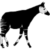Okapi