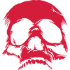 Skull Riss
