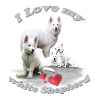weißer Schäferhund