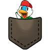 Duck in a pocket