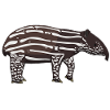 Tapirbaby