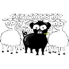 Schwarzes Schwein