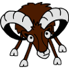 Mufflon
