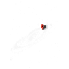 You are here