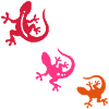 GECKO trio