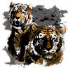 tiger