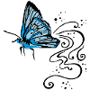 Schmetterling
