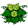 Hopfen