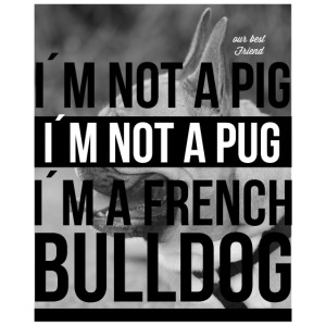 I´m not a Pug
