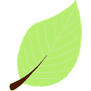 leaf