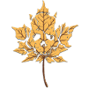 Dead Leaf