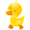 little Duck