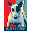 Bullterrier