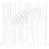 Zebra Barcode