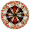 native medicine wheel