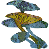 Blue mushrooms