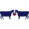 Kuh Liebe