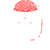 Brain Chimp 2
