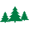 Tannenbaum, Gruppe