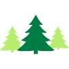 Christbaum, Gruppe