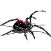 spider