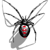 Araignée