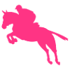 Pferd Springreiten Reiter