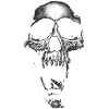 skull, head death metal,