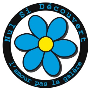 nsd logo fleur bleueb