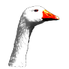 Gans