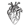 Coeur