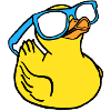 duck