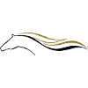horse 2