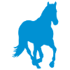 Cheval poney cavalier sauvage