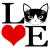 Love cat