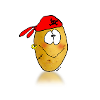 patate pirate