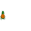 Saftschubse