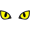 cat's eyes two colours