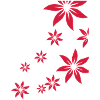 Fleurs, déco, fleur