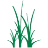 Binary Gras